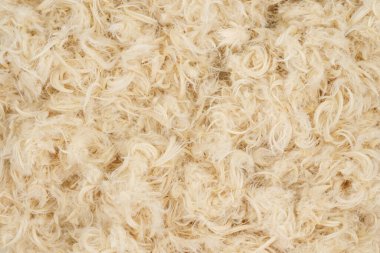 Beyaz kaz tüyü ve yastık dokusundan tüy.