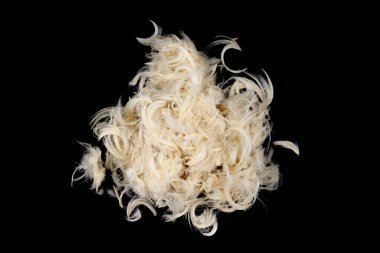 Beyaz kaz tüyleri siyah arka planı izole etti. Kaz tüyü ve yastık dokusundan tüy.