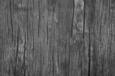 Beyaz doğal ahşap tahtanın kusursuz dokusu. Tasarımcının arkaplanı