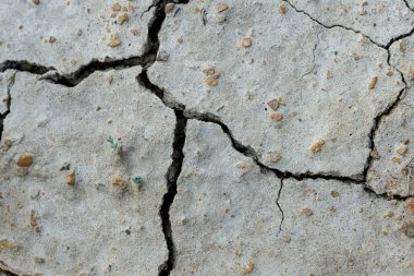 Beyaz kurumuş ve çatlamış toprak. Erozyon yeryüzü arka planı. Alçıpan yüzeyi çatlamış. beyaz doğal çatlak doku