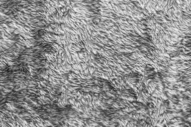 Beyaz doğal yün dokusu. Kusursuz gri koyun kürkü. yumuşak peluş