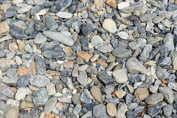 Small Road Stone Background Gravel Pebbles Stone Texture Granite Marble — Stock Photo, Image