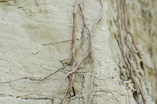 Kilden bir taş ocağında yer altındaki farklı katmanların dokusu. kil duvar arkaplanı kapat 