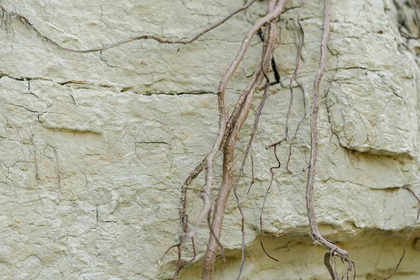 Kilden bir taş ocağında yer altındaki farklı katmanların dokusu. kil duvar arkaplanı kapat 