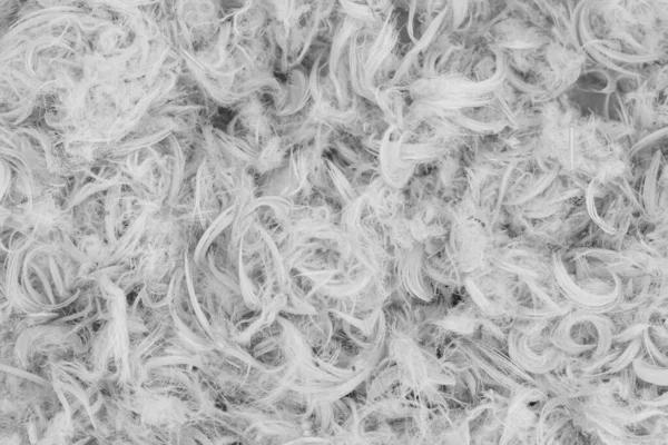 Witte Ganzenveren Pluis Van Kussens Textuur — Stockfoto