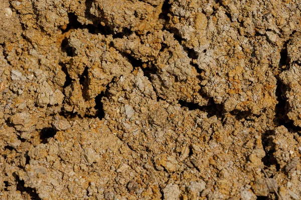 沙漠干裂的地面 侵蚀地球的背景 裂开的干墙表面 白色天然开裂的纹理 — 图库照片