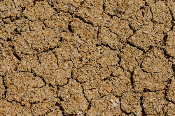 砂漠は乾燥し 地面が割れた 侵食地球の背景 壁の表面が乾燥してる 白い自然な亀裂のテクスチャ — ストック写真