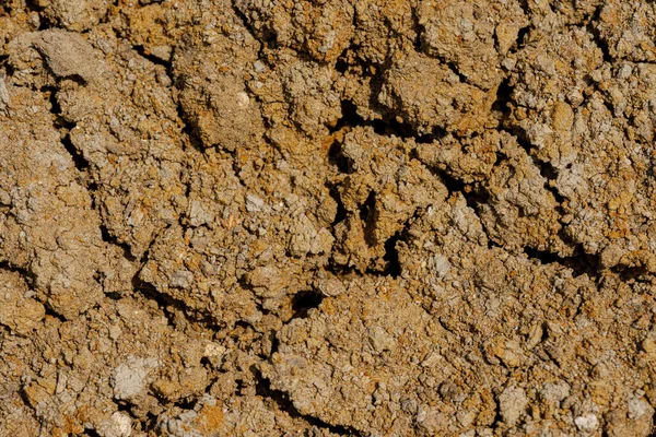 Désert Séché Fissuré Érosion Fond Terre Surface Paroi Sèche Fissurée — Photo
