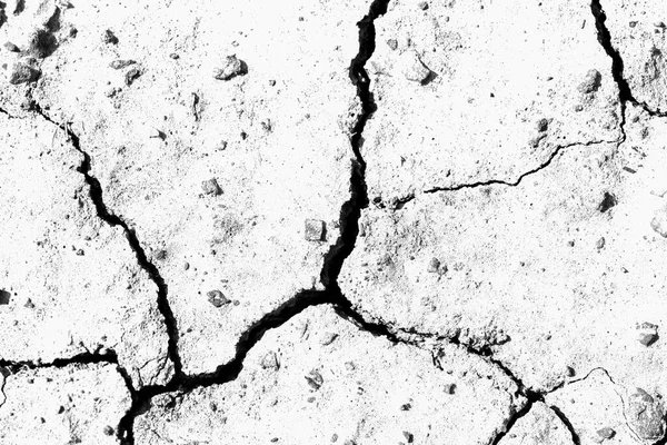 Beyaz kurumuş ve çatlamış toprak. Erozyon yeryüzü arka planı. Alçıpan yüzeyi çatlamış. beyaz doğal çatlak doku