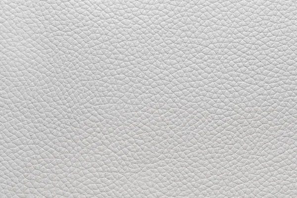 Witte Natuurlijke Dierlijke Huidtextuur Huid Met Patroon Achtergrond — Stockfoto
