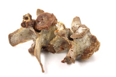 Beyaz arka planda izole edilmiş hayvan omurgası kemikleri. Arta kalan yemekleri yakın plan çek.