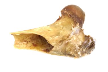 Beyaz arka planda izole edilmiş hayvan omurgası kemikleri. Arta kalan yemekleri yakın plan çek.