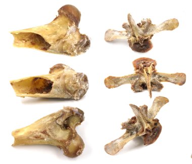 Beyaz arka planda izole edilmiş hayvan omurgası kemikleri. Arta kalan yemekleri yakın plan çek.