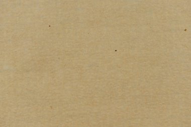 Sarı doğal papirüs kağıdının dokusu