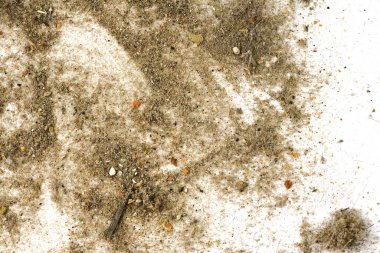 Çöp, toz, toprak beyaz bir arkaplanda izole edilmiş. Elektrik süpürgesinden çıkan çöp dokusu