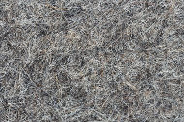 Çıkan saçlar arka plan dokusunu yakından hissettiriyordu. Keçeli çizmeler için koyun yünü