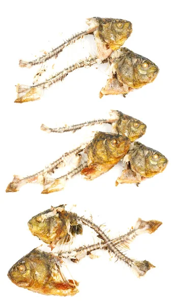骨と魚の頭は白い背景に隔離されています 焼き魚の遺跡 食品廃棄物 — ストック写真