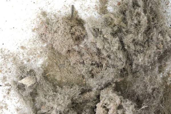 Σκουπίδια Σκόνη Χώμα Απομονωμένα Λευκό Φόντο Υφή Σκουπιδιών Από Ηλεκτρική — Φωτογραφία Αρχείου