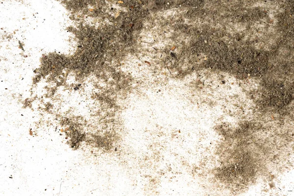 Trash, dust, dirt isolated on a white background closeup. texture of garbage from a vacuum cleaner