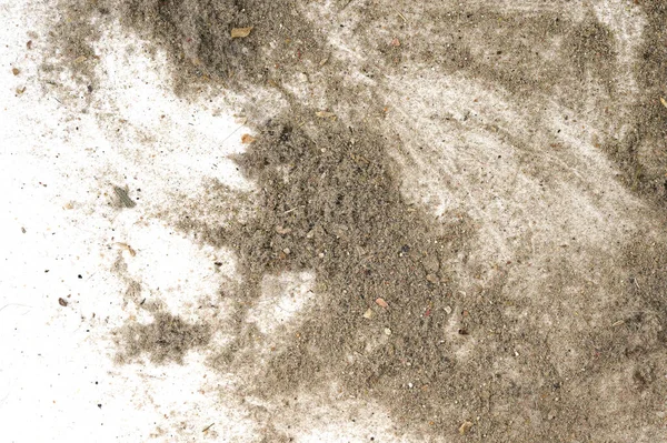 Trash, dust, dirt isolated on a white background closeup. texture of garbage from a vacuum cleaner