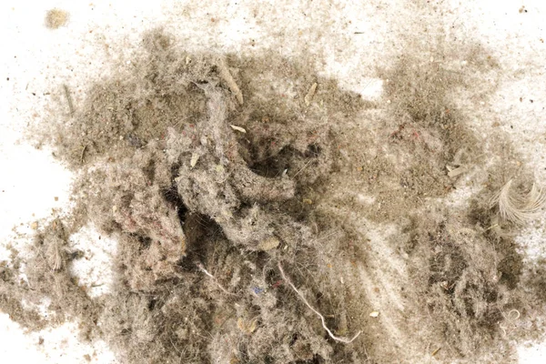 Trash, dust, dirt isolated on a white background closeup. texture of garbage from a vacuum cleaner