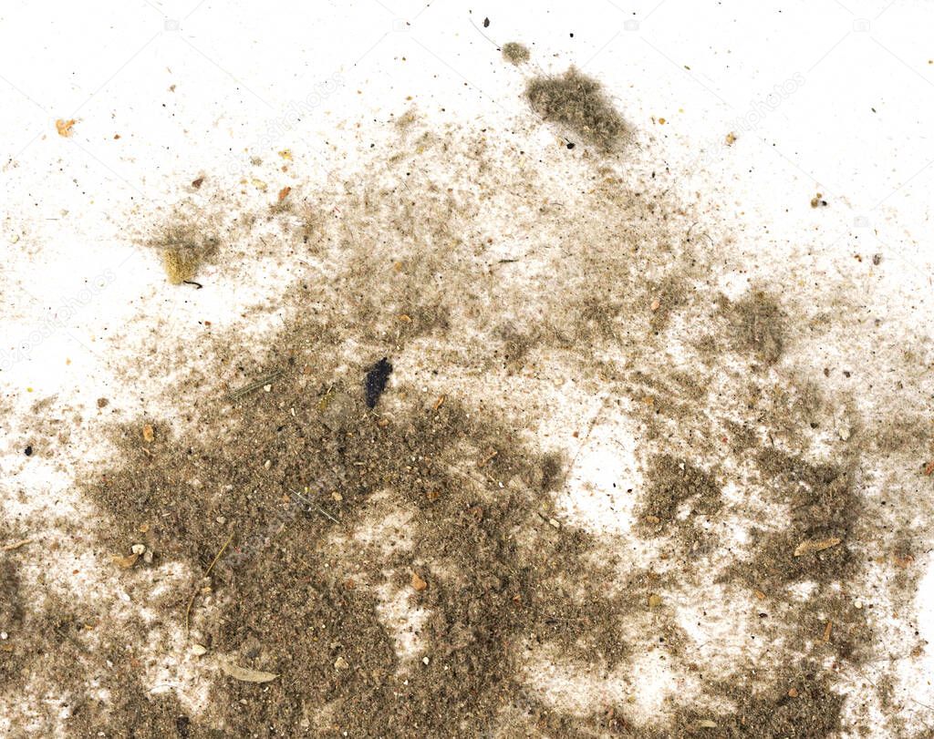 Trash, dust, dirt isolated on a white background closeup. texture of garbage from a vacuum cleaner