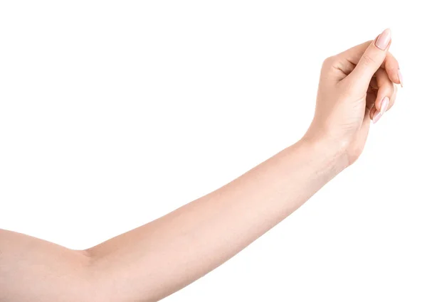 Female Caucasian Hands Isolated White Background Showing Gesture Holds Something — Stock Photo, Image