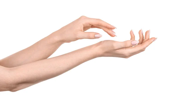 Female Caucasian Hands Isolated White Background Showing Gesture Holds Something — Stock Photo, Image