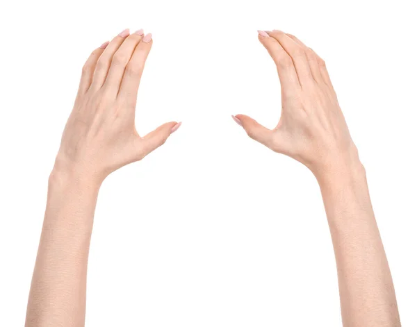 Female Caucasian Hands Isolated White Background Showing Gesture Holds Something — Stock Photo, Image