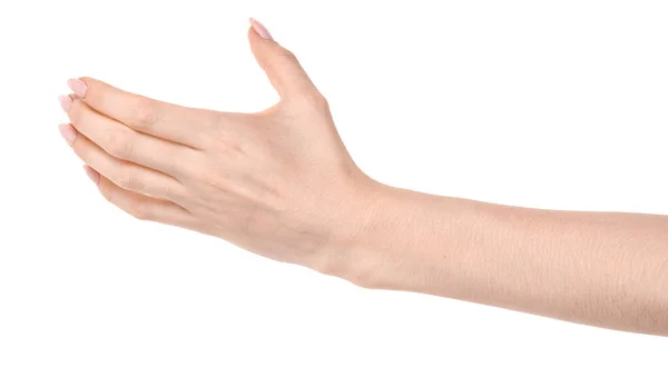 Female Caucasian Hands Isolated White Background Showing Gesture Holds Something — Stock Photo, Image