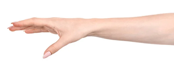 Weibliche Kaukasische Hände Isoliert Weißen Hintergrund Zeigt Geste Hält Etwas — Stockfoto