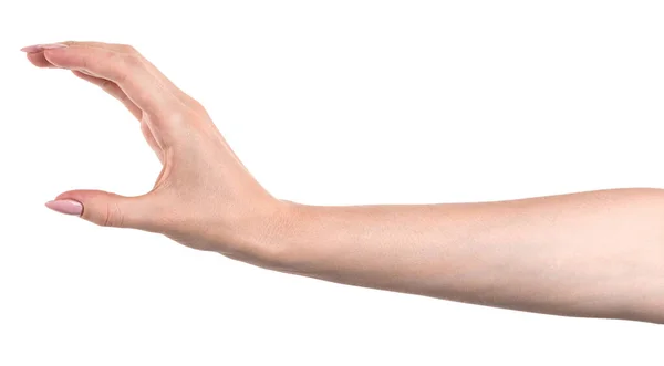 Γυναίκα Καυκάσια Χέρια Απομονώνονται Λευκό Φόντο Δείχνει Χειρονομία Κατέχει Κάτι — Φωτογραφία Αρχείου