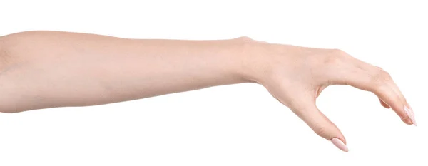 Vrouwelijke Blanke Handen Geïsoleerde Witte Achtergrond Tonen Gebaar Houdt Iets — Stockfoto