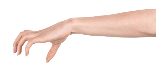 Mãos Caucasianas Femininas Isolado Fundo Branco Mostrando Gesto Detém Algo — Fotografia de Stock