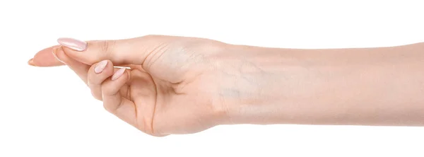 Female Caucasian Hands Isolated White Background Showing Gesture Holds Something — Stock Photo, Image