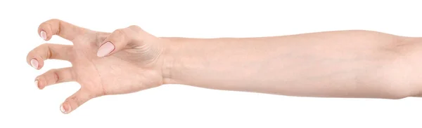 Mãos Caucasianas Femininas Isolado Fundo Branco Mostrando Gesto Detém Algo — Fotografia de Stock