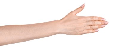 Beyaz arka planda çeşitli parmak hareketlerini gösteren beyaz bir kadın el izi var. Kadın elleri farklı jestler gösteriyor.
