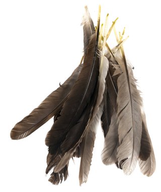 Beyaz arka planda izole edilmiş doğal kuş tüyleri. Güvercin, tavuk ve kaz tüyleri yakın plan. Kuş tüylerini istifle