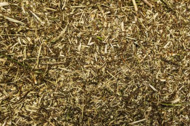 Bir sürü yonga ve ağaç arkaplan dokusu, ahşap talaşı kabuğu.