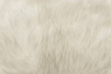 Beyaz kabarık yün dokusu, doğal yün arka plan, tasarımcılar için kürk dokusu, açık uzun kürk animası.