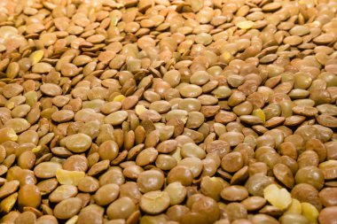 Olgun sarı mercimek arka plan dokusu, kahverengi doğal mercimek yakın plan.