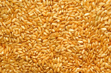 Kahverengi pirinç arkaplan dokusu, sarı uzun tahıl doğal pirinç, yasemin pirinci yakın plan.