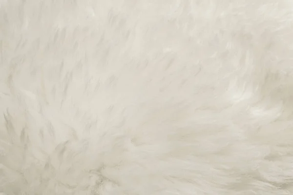 Witte Pluizige Wol Textuur Natuurlijke Wol Achtergrond Bont Textuur Close — Stockfoto