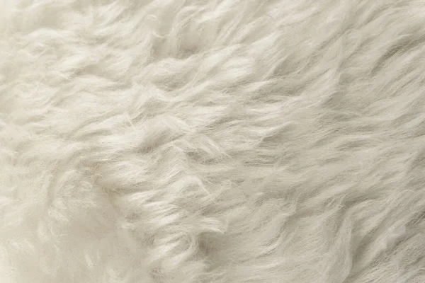Biała Puszysta Wełna Tekstura Naturalne Tło Wełny Zbliżenie Tekstury Futra — Zdjęcie stockowe