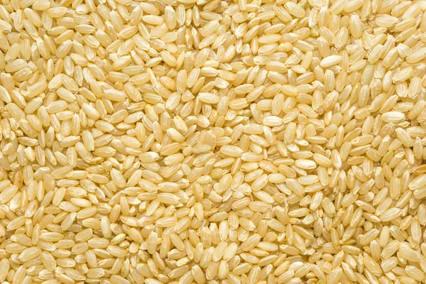 Kahverengi pirinç arkaplan dokusu, sarı uzun tahıl doğal pirinç, yasemin pirinci yakın plan.