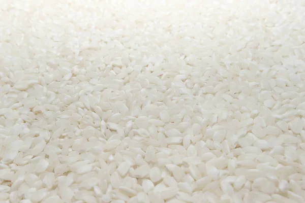 쌀밥의 천연적 재스민 클로즈업 — 스톡 사진