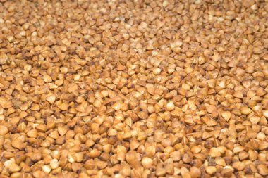 Olgun karabuğday arka planda inliyor, doğal karabuğday taneleri yakın planda.