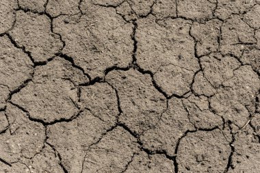 Gri toprak dokusunun çatlak yüzeyi, kurumuş ve doğranmış gri toprak, eski çatlak koyu zemin, yakın plan, aşınma.