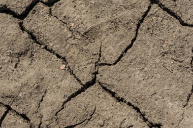 Gri toprak dokusunun çatlak yüzeyi, kurumuş ve doğranmış gri toprak, eski çatlak koyu zemin, yakın plan, aşınma.