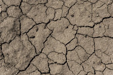 Gri toprak dokusunun çatlak yüzeyi, kurumuş ve doğranmış gri toprak, eski çatlak koyu zemin, yakın plan, aşınma.